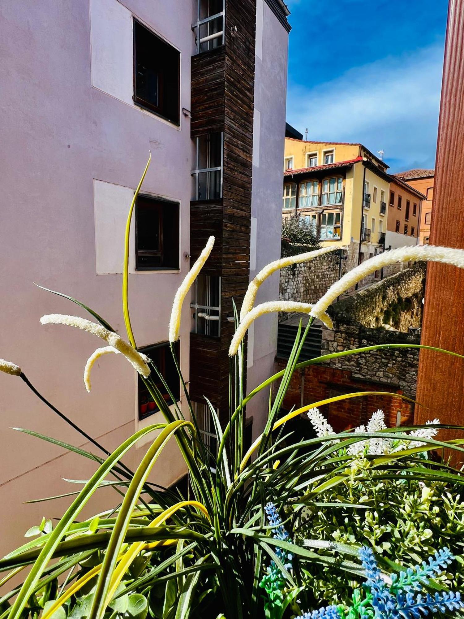 El Capricho De Claudia_ Apartamentos Burgos Catedral Ngoại thất bức ảnh